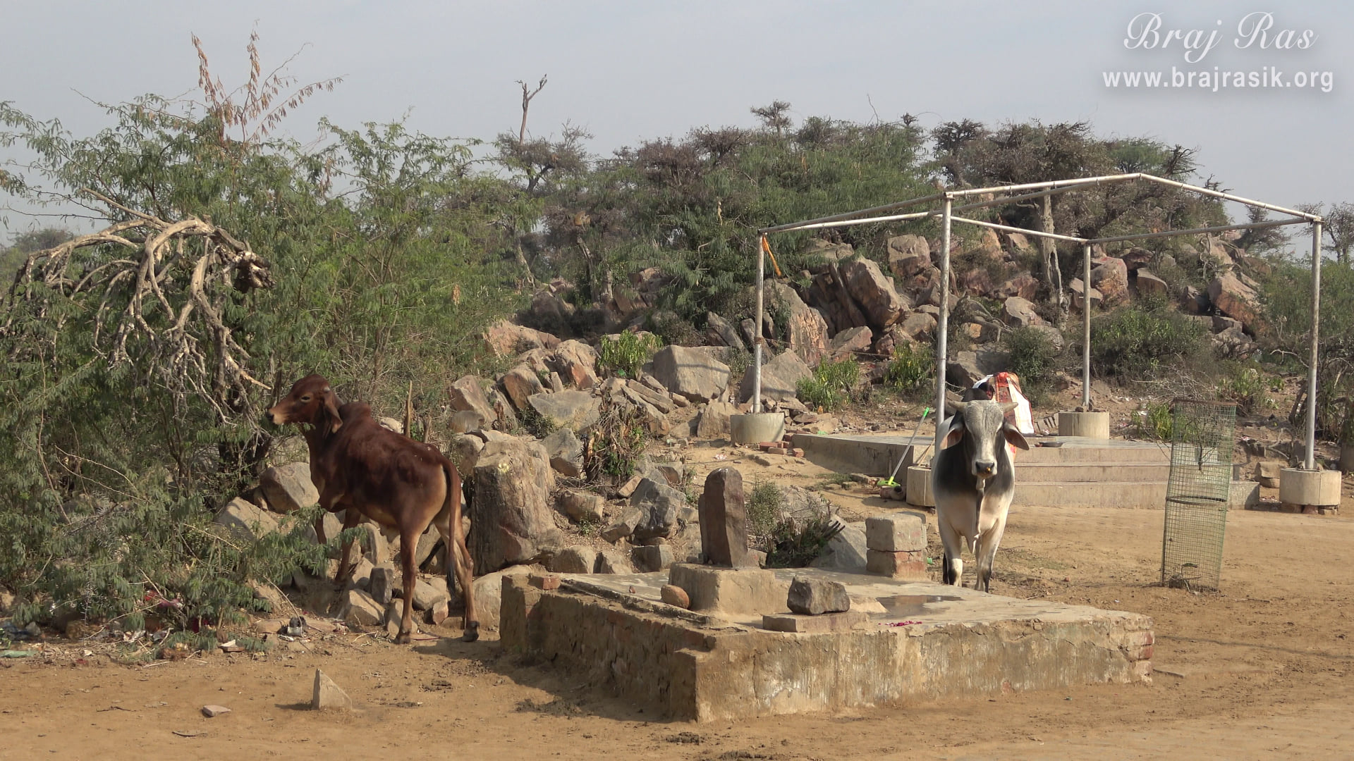 View of Goverdhan Hill at Naval Kund in Punchari, Govardhan 