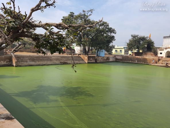 A beautiful view of Apsara Kund near Naval Kund at Punchari, Govardhan  