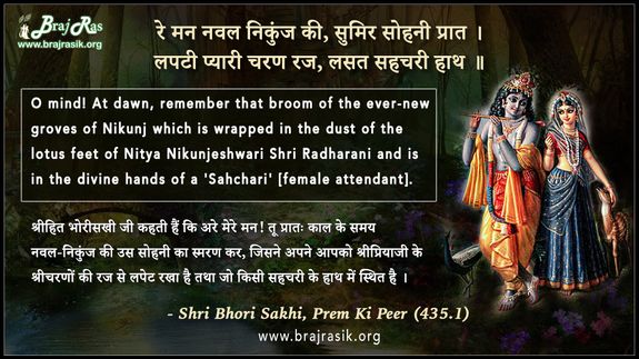 Re Man Naval Nikunj Ki, Sumir Sohni Prat - Shri Bhori Sakhi, Prem Ki Peer (435.1)