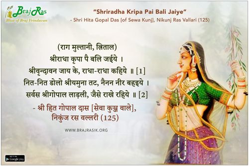 Shriradha Kripa Pai Bali Jaiye - Shri Hita Gopal Das, Nikunj Ras Vallari (125)