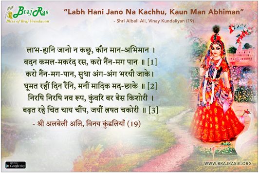 लाभ-हानि जानो न कछु, कौन मान-अभिमान - श्री अलबेली अलि, विनय कुंडलियाँ (19)