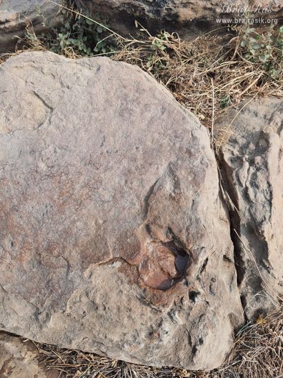 The footprint of Krishn's cow in Mukharvind, Govardhan.