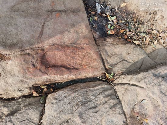 The footprint of Shri Krishn, where Shri Krishn played the flute and fed the cows while standing on one of the feet in Mukharvind, Govardhan.