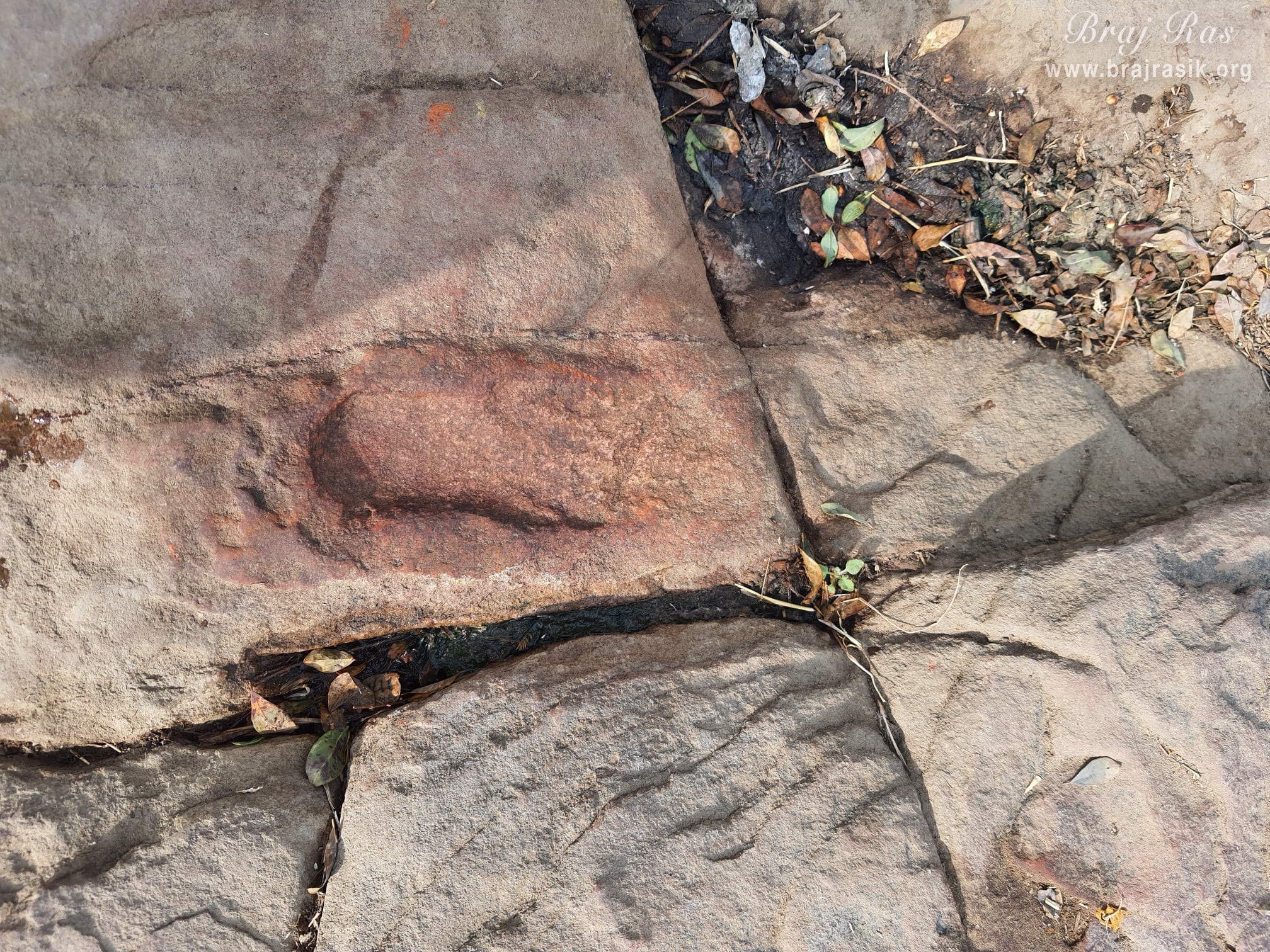 The footprint of Shri Krishn, where Shri Krishn played the flute and fed the cows while standing on one of the feet in Mukharvind, Govardhan.