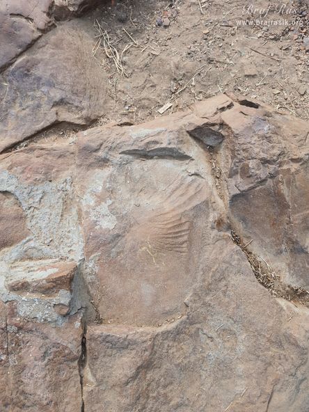 10 fingerprints of Shri Krishn are inscribed at Mukharvind, Govardhan.