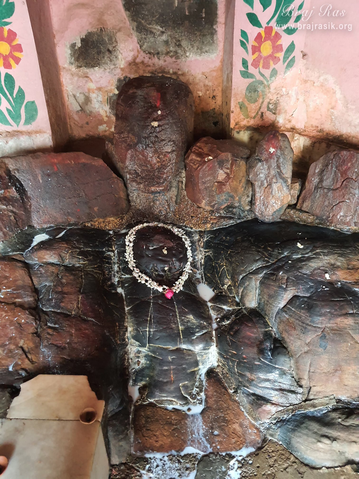 Darshan of Shri Balram Ji, seated in the form of Luk-Luk Dau Ji in Mukharvind, Govardhan.