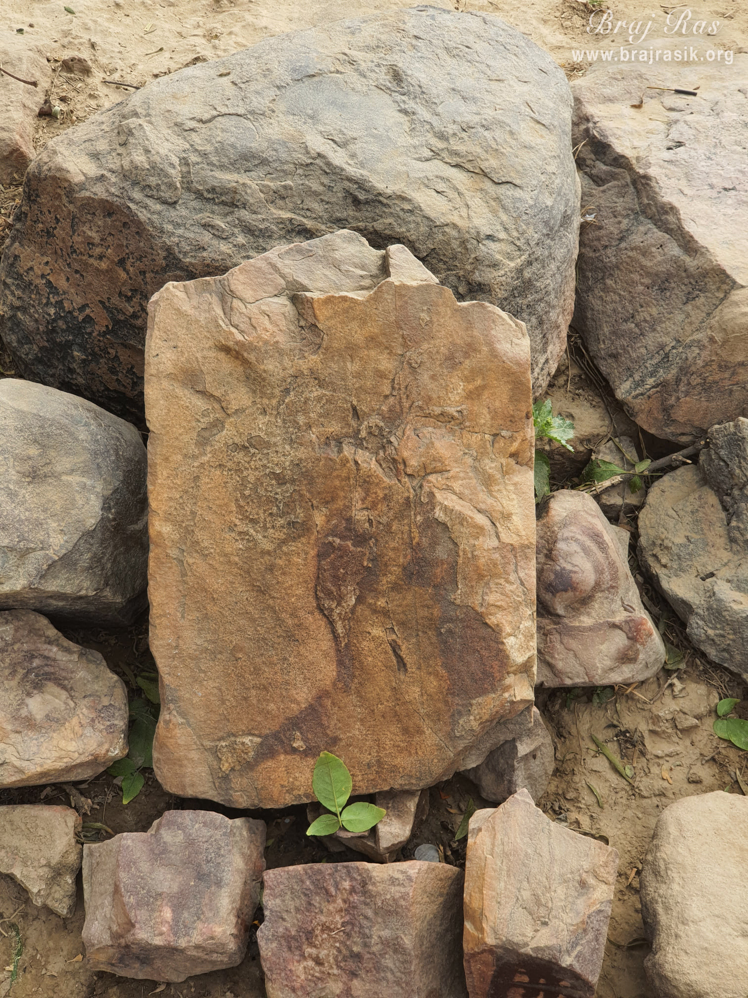 The great serpent Sheshnag is inscribed on a rock near the Luk-Luk Dauji temple in Mukharvind at Govardhan, who comes out from here once a year in the midnight of Sharad Purnima and after wandering for some time, he disappears at this place.
