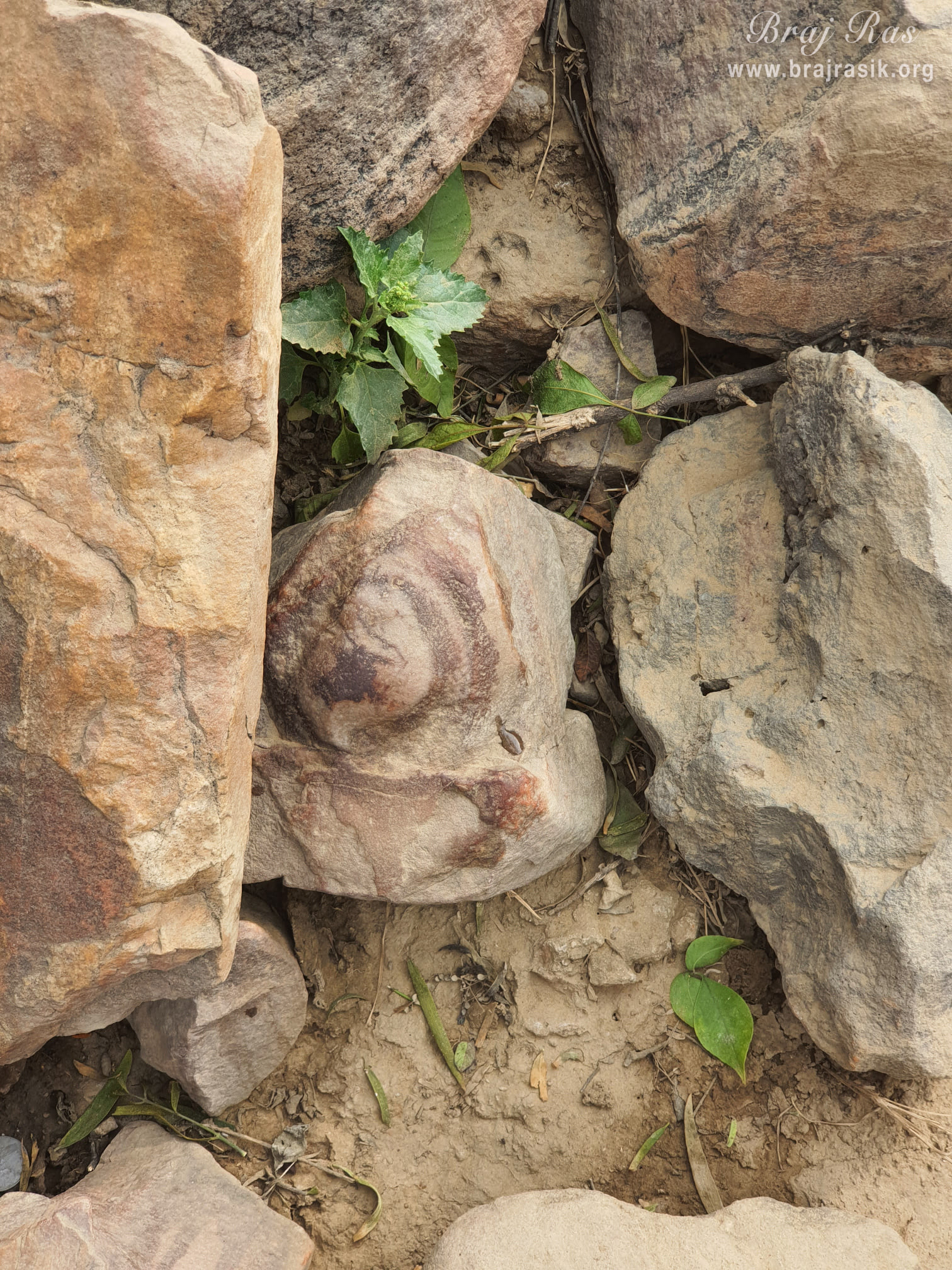 The symbols of rainbow and conch on a rock at Mukharvind, Govardhan.