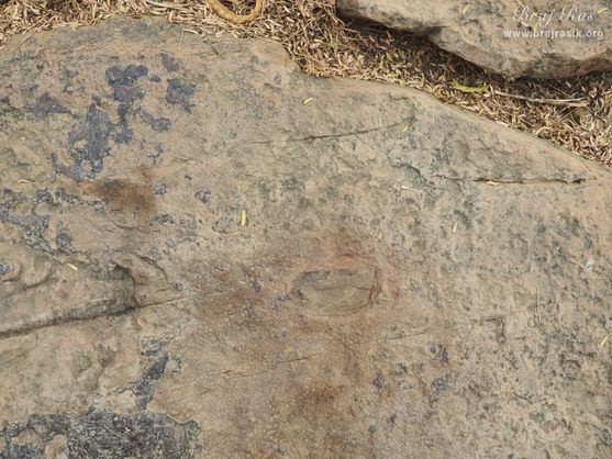 Once Shri Krishn started resting on this rock while grazing the cows, due to which his earmarks were inscribed on this rock at Mukharvind in Govardhan.