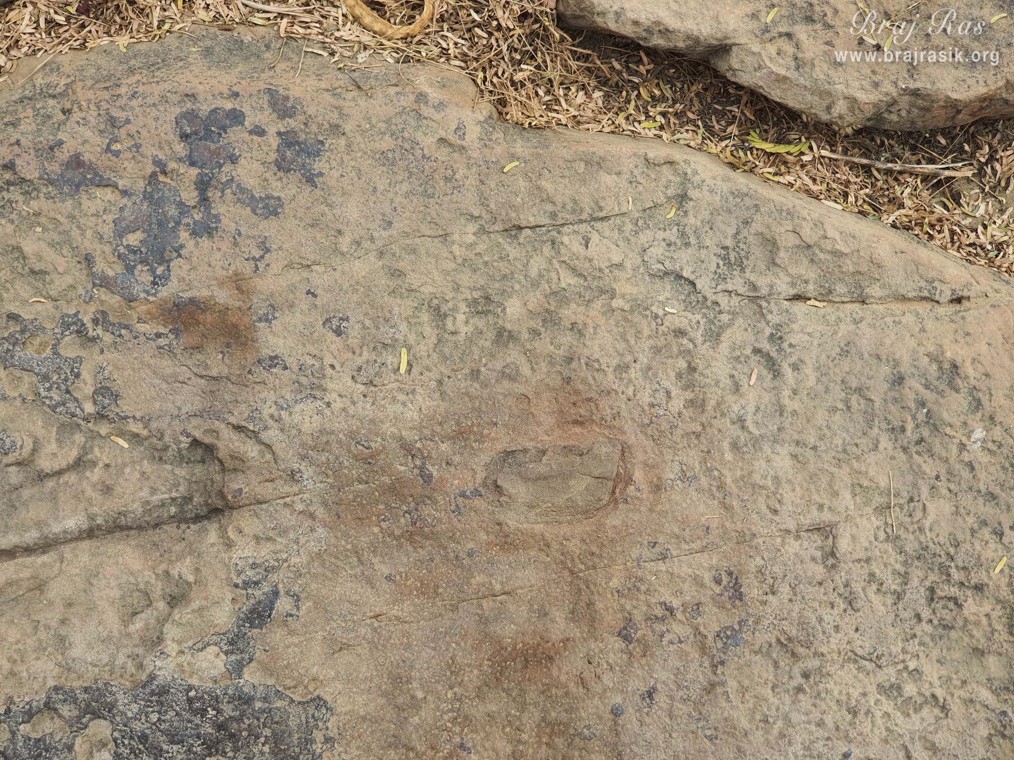 Once Shri Krishn started resting on this rock while grazing the cows, due to which his earmarks were inscribed on this rock at Mukharvind in Govardhan.
