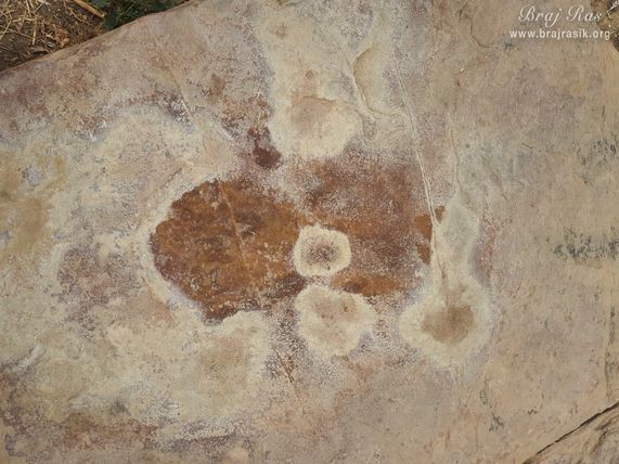 The palm of Shri Balram Ji is inscribed on the rock at Mukharvind in Govardhan.