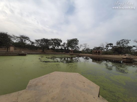 Beautiful forest view of Surbhi Kund in Govardhan.