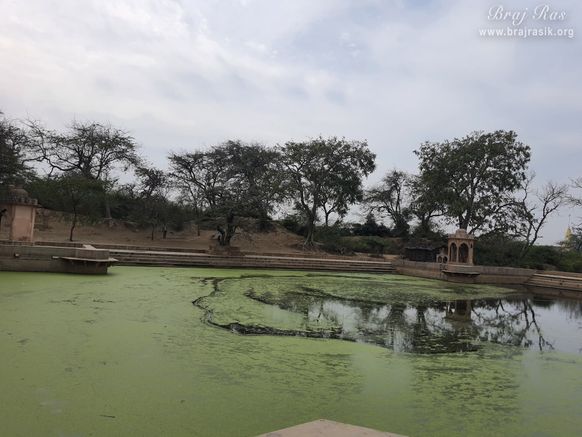A nice view of the forest at Surbhi Kund in Govardhan.