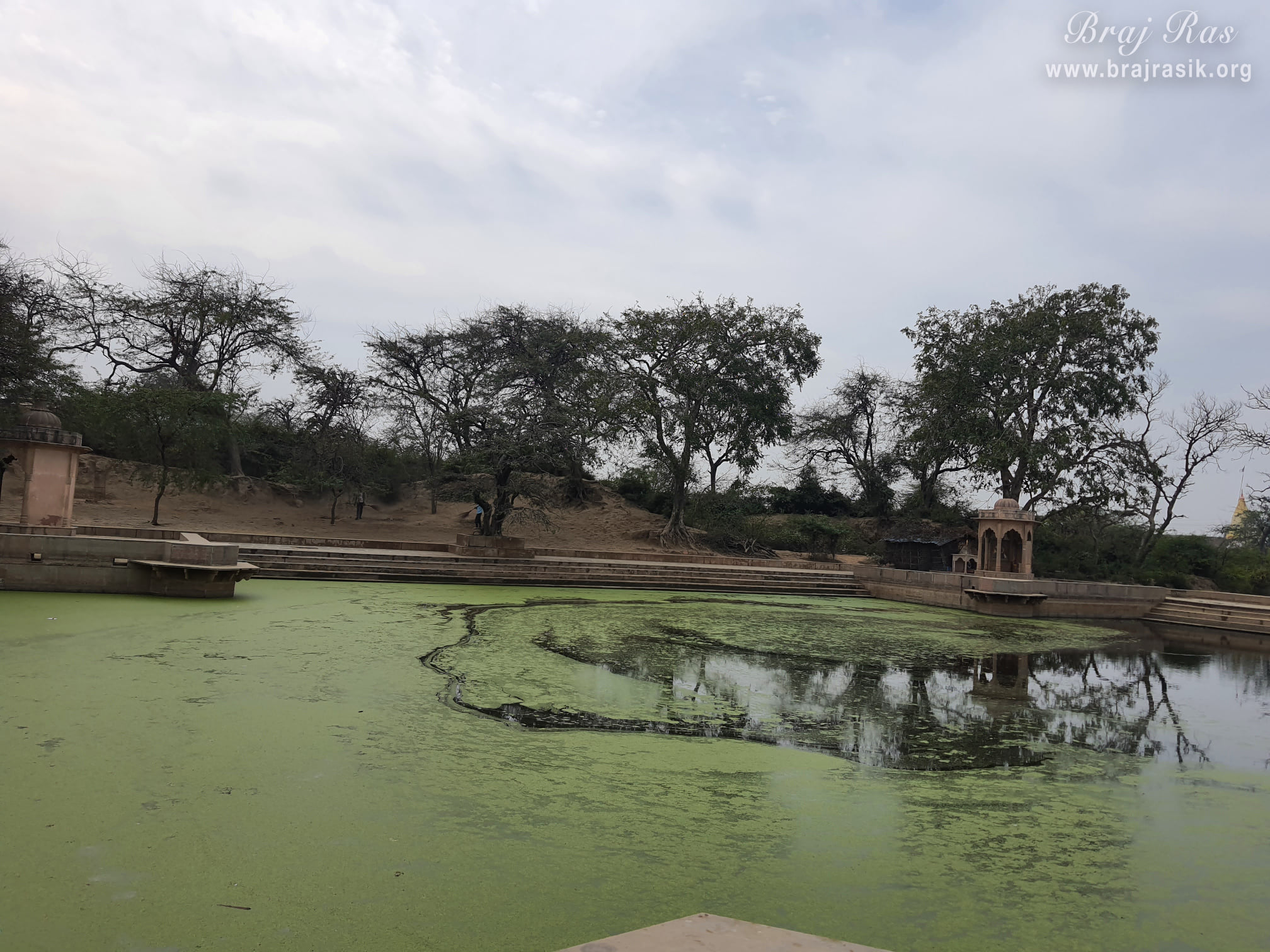 A nice view of the forest at Surbhi Kund in Govardhan.