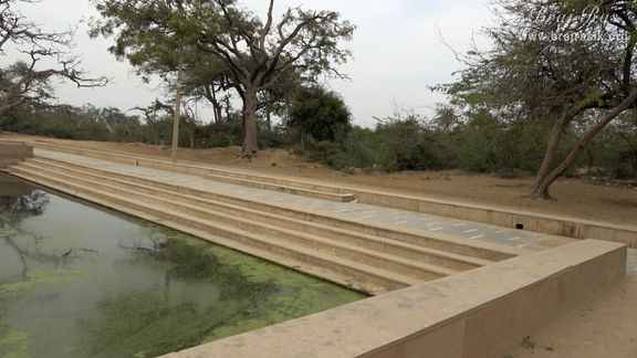 The beautiful green forest around Surbhi Kund in Govardhan.