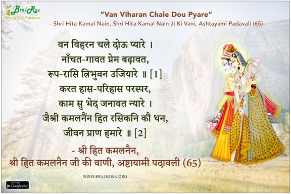 वन विहरन चले दोऊ प्यारे - श्री हित कमलनैन, श्री हित कमलनैन जी की वाणी, अष्टायामी पदावली (65)