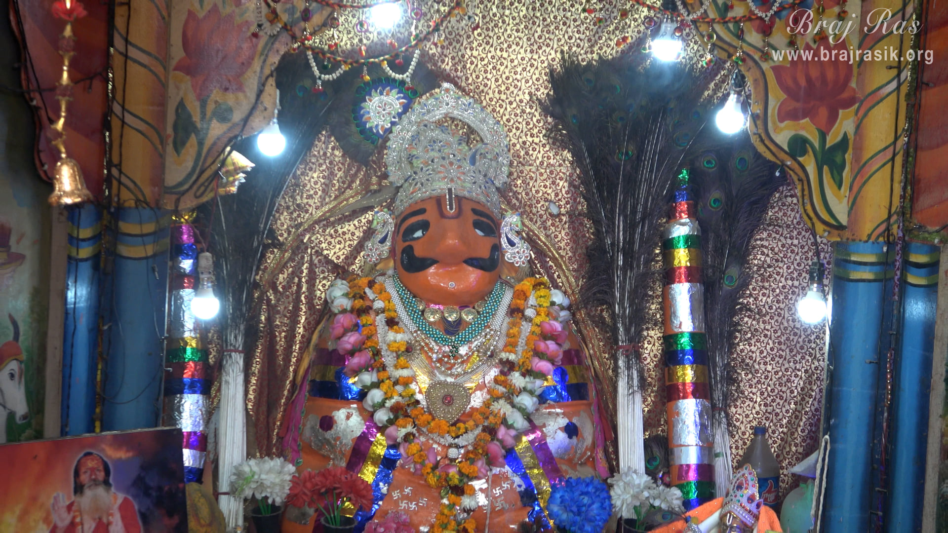गोवर्धन में पूँछरी का लौठा के दर्शन ।