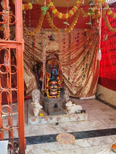 Darshan of Lord Shiva at Punchari Ka Lautha in Govardhan.
