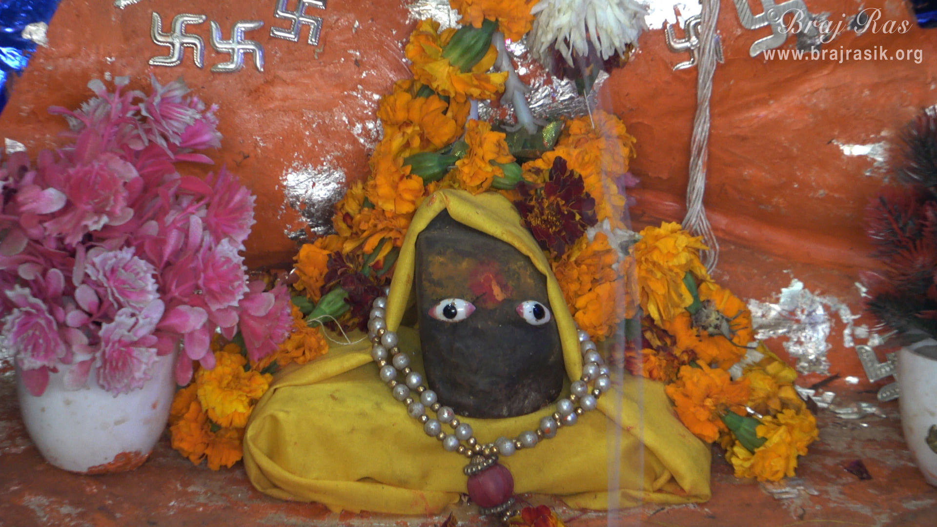 Darshan of Giriraj Govardhan at Punchari Ka Lautha in Govardhan.