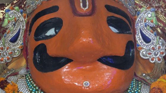 गोवर्धन में पूँछरी का लौठा के मुख दर्शन ।