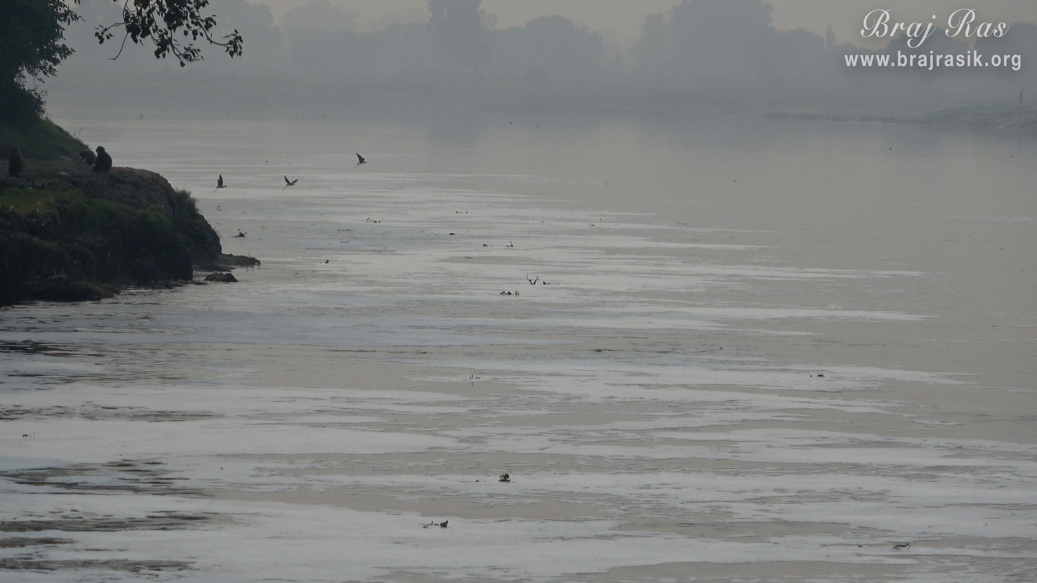 A calm view of Shri Yamuna Ji at Shri Thakurani Ghat and Shri Govind Ghat in Gokul.