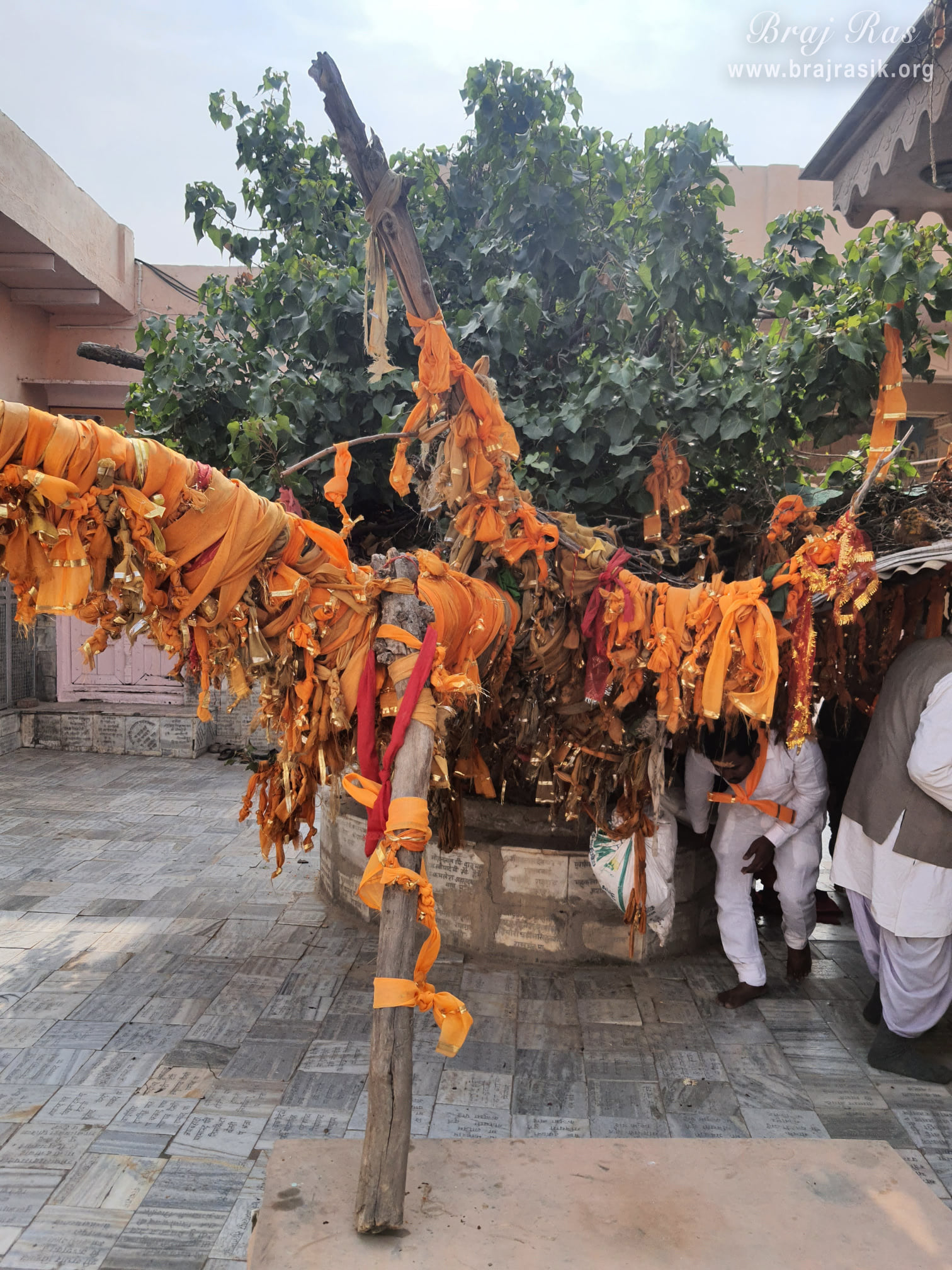 View of the Banyan tree, where the devotees tie ribbons to fulfill their wishes at Nand Bhavan or Chaurasi Khamba Temple in Gokul.