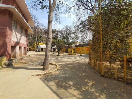 The divine sand is spread everywhere in Shri Radha Tila in Vrindavan.