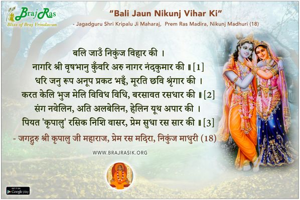 बलि जाउँ निकुंज विहार की - जगद्गुरु श्री कृपालु जी महाराज, प्रेम रस मदिरा, निकुंज माधुरी (18)