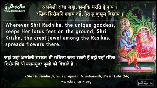 अलबेली राधा जहां, झमकि धरति है पाय - ब्रजनिधि ग्रंथावली, प्रीति लता (66)