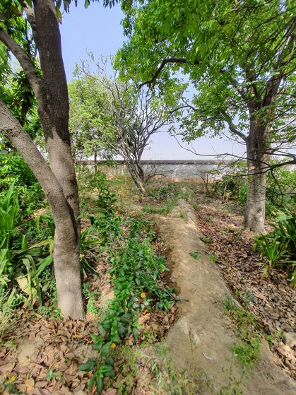 Parikrama Pathway at Radha Bagh, Barsana