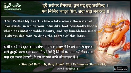 Hriday Sarovar Premjal - Shri Lal Balbir Ji, Braj Binod, Shri Vrindavan Shatak (14)