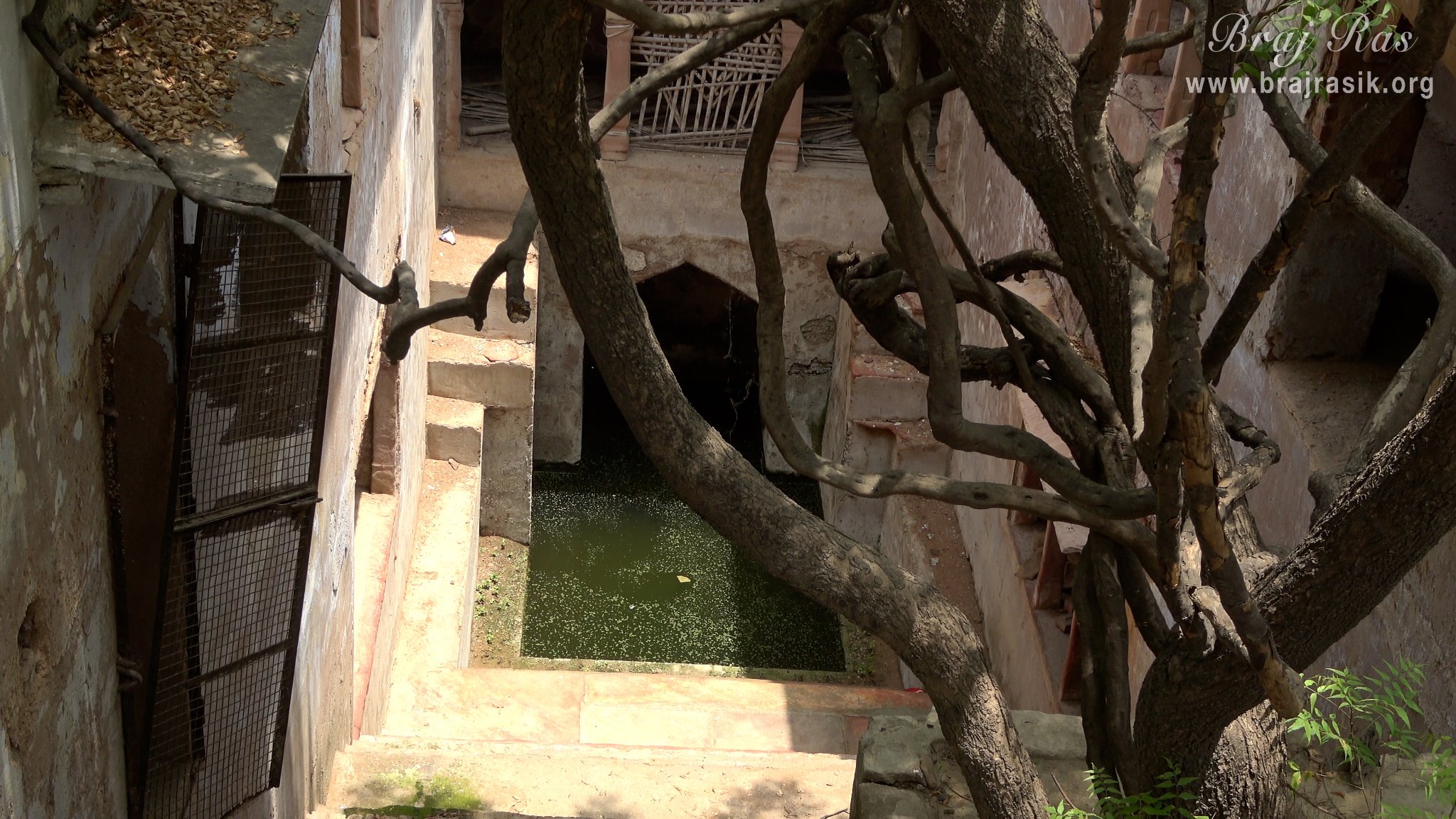 Darshan Of Radha Bavdi in Vrindavan.