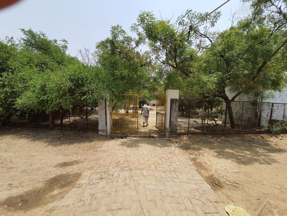 A view of the forest at Radha Bavdi in Vrindavan.