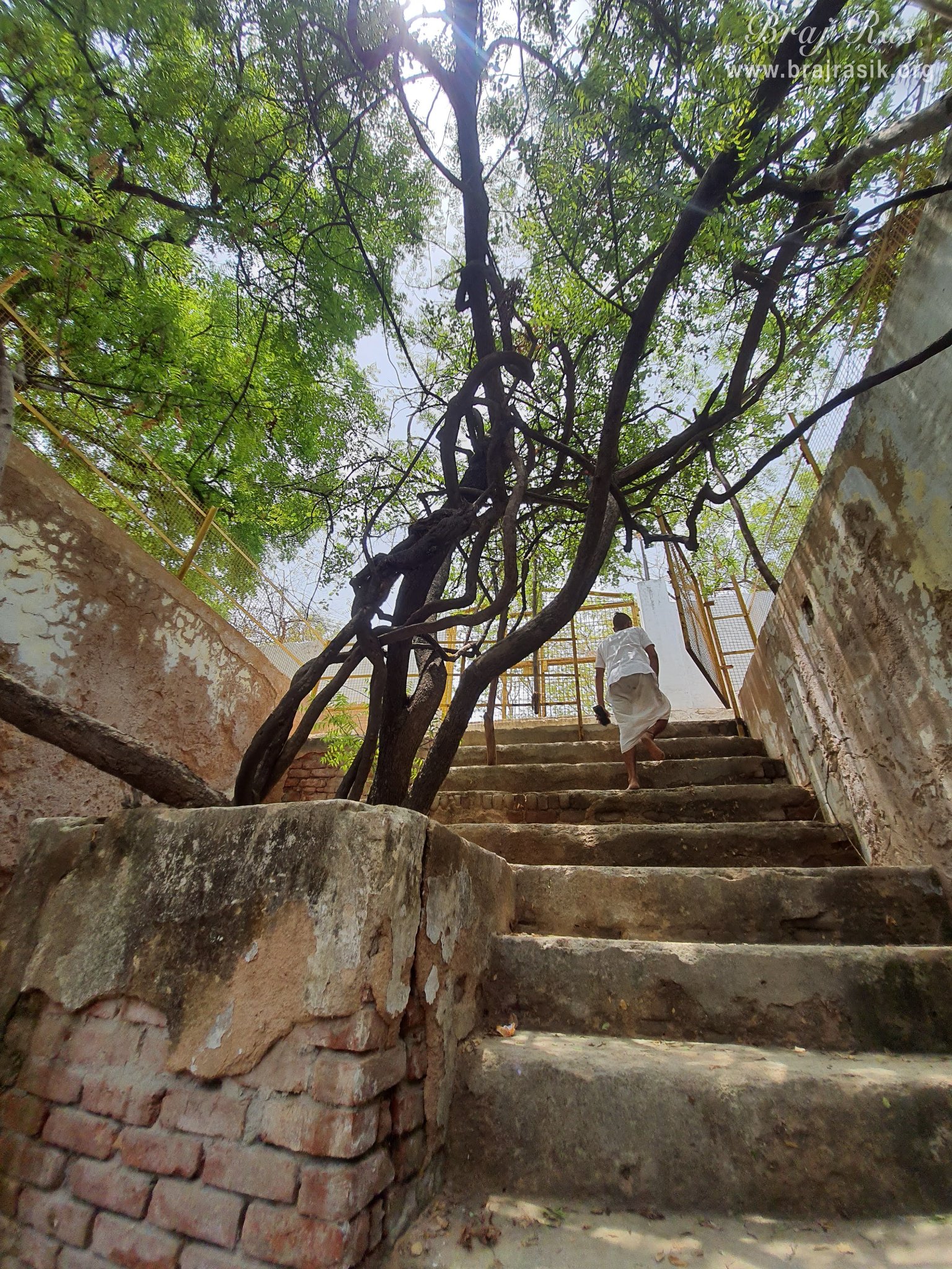 Stairs of Radha Bavdi in Vrindavan.