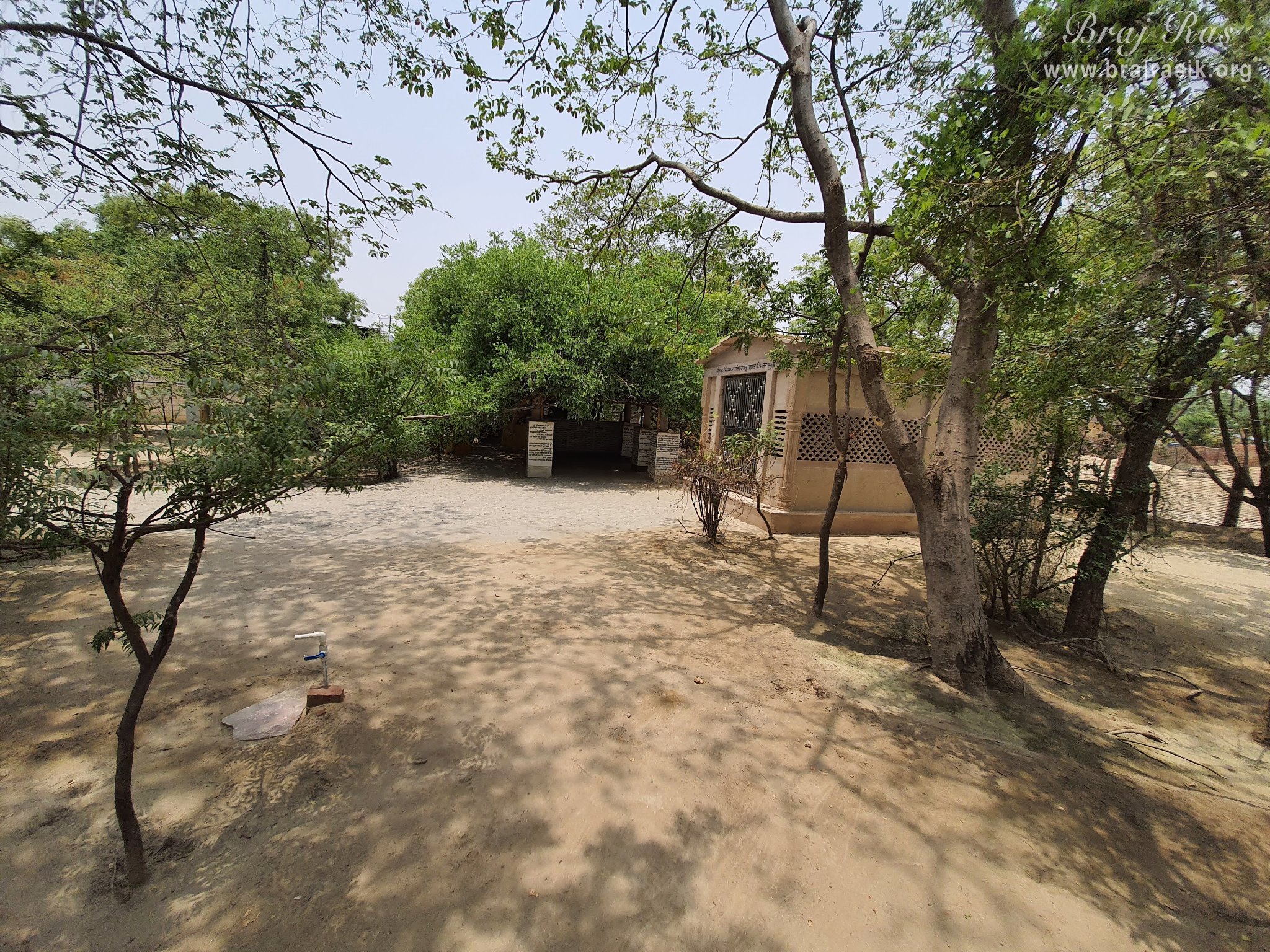 A nice forest view at Radha Bavdi in Vrindavan.