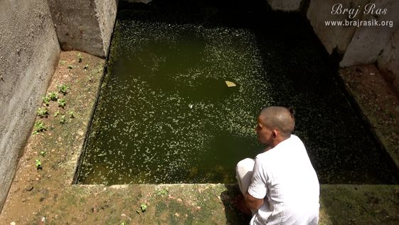 Close darshan of Radha Bavdi in Vrindavan.