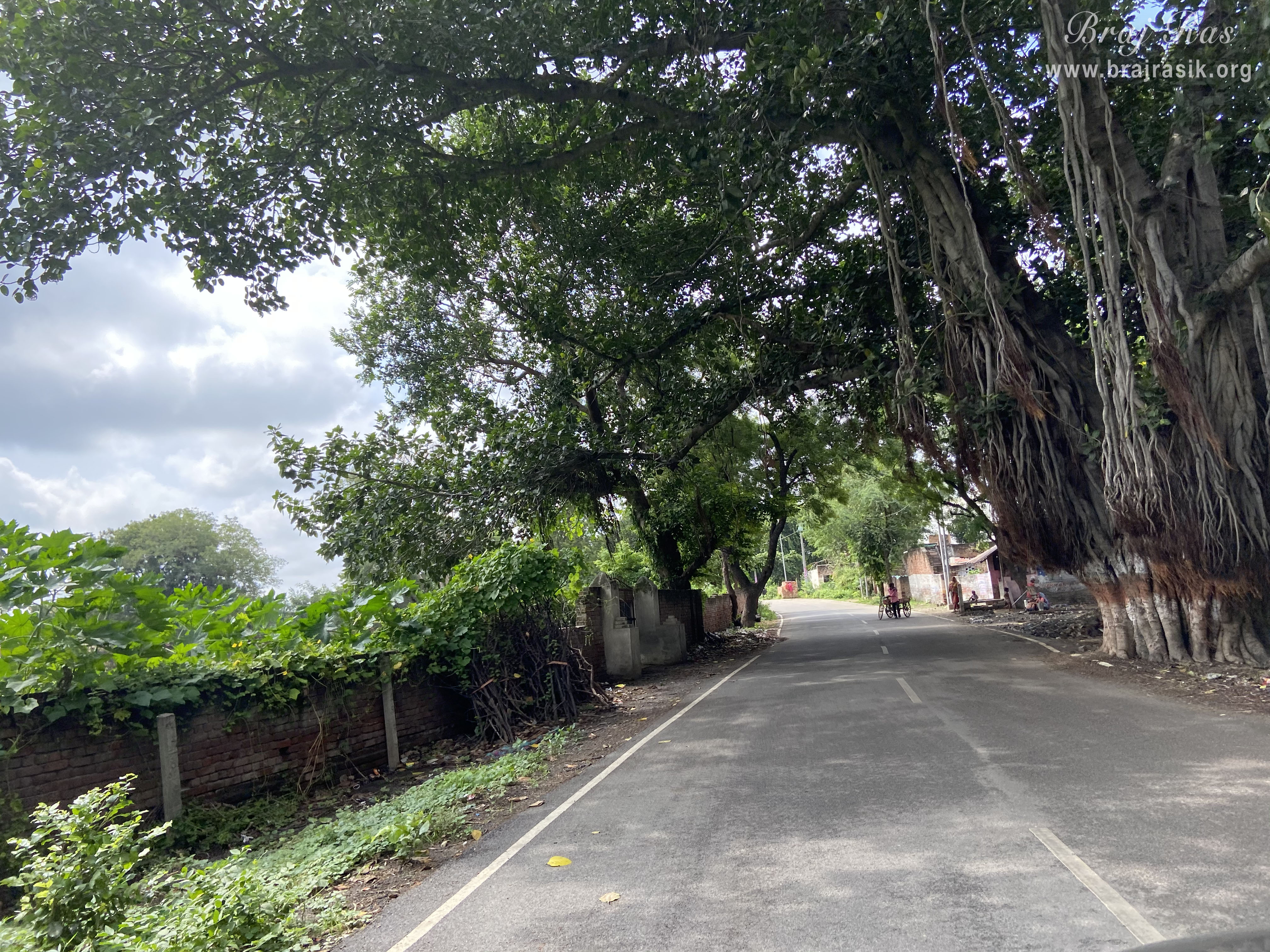 On the way to Raskhan Samadhi in Mahavan