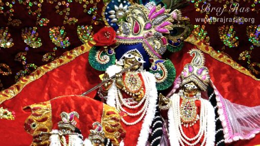 Close darshan of Shri Lalit Ladali Lal Ji in Shri Hita Mahal, Vrindavan