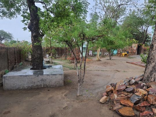 View of the surroundings of Shri Mor Bihari Temple, Nandgaon.