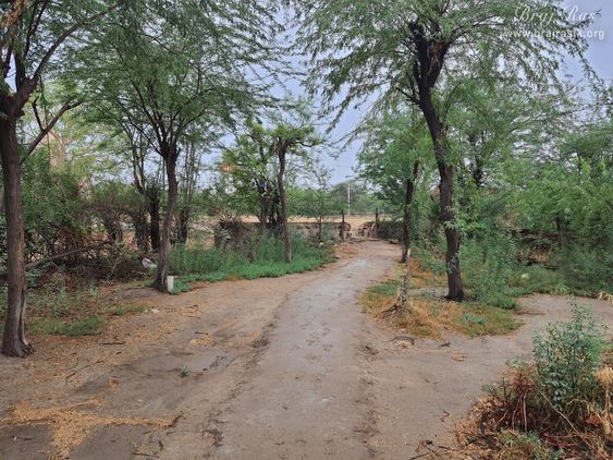 Way to go towards Konkeshwar Mahadev from Mor Bihari Temple, Nandgaun