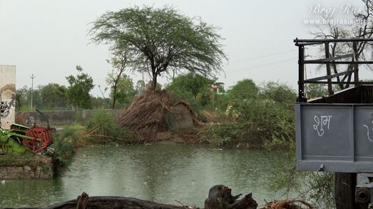 View of Mor Kund near Shri Mor Bihari Temple, Nandgaon.
