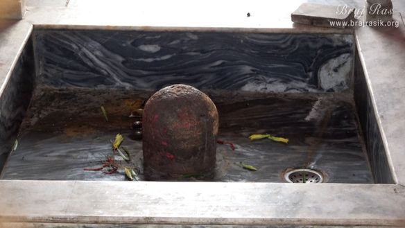Close darshan of Konkeshwar Mahadev near Shri Mor Bihari Temple, Nandgaon.