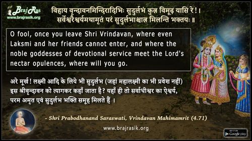 Vihaay Vrindavanamindiradibhih - Shri Prabodhanand Saraswati, Vrindavan Mahimamrit (4.71)