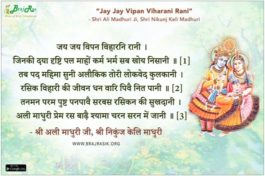जय जय विपन विहारनि रानी - श्री अली माधुरी जी, श्री निकुंज केलि माधुरी, मंगल (11)