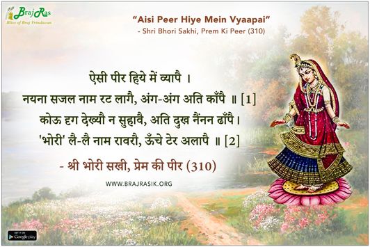 ऐसी पीर हिये में व्यापै - श्री भोरी सखी, प्रेम की पीर (310)