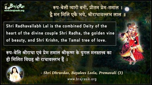 रूप-बेली प्यारी बनी, प्रीतम प्रेम-तमाल - श्री हित ध्रुवदास, बयालीस लीला, प्रेमावली (3)
