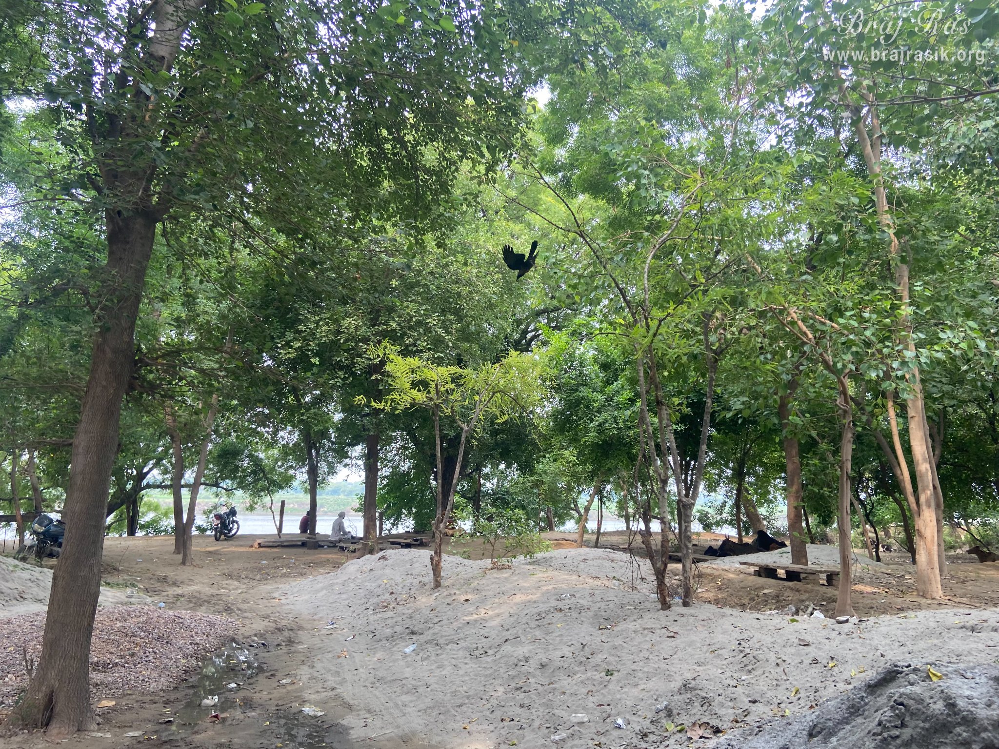 View of beautiful forest around Chintaharan Mahadev Temple in Gokul Mahavan.