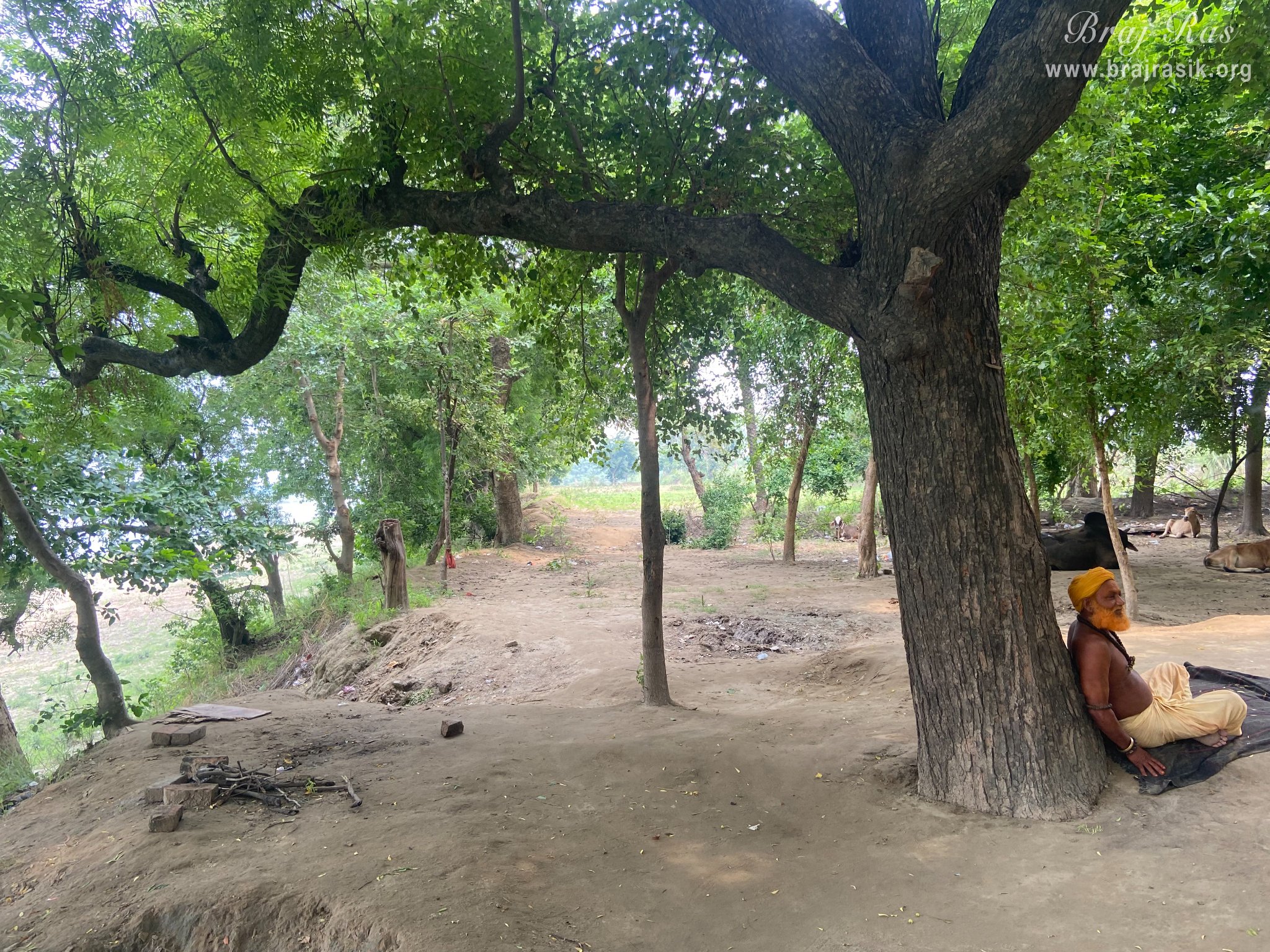 Beautiful place for meditation in the forest around Chintaharan Mahadev Temple in Gokul Mahavan.