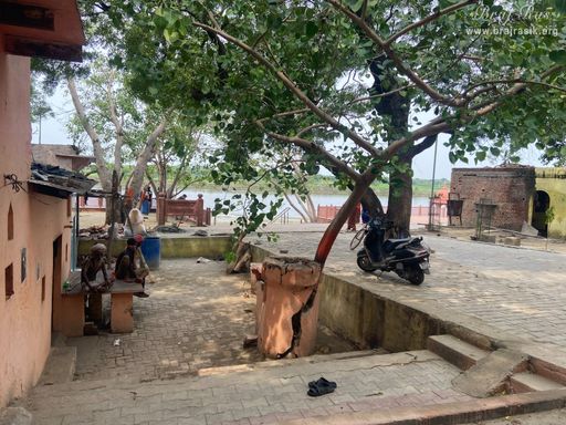 View of the huts of devotees at Chintaharan Mahadev Temple in Gokul Mahavan.