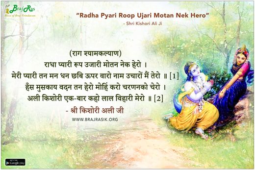 राधा प्यारी रूप उजारी मोतन नेक हेरो - श्री किशोरी अली जी